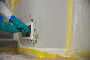 Commercial mold damage restoration